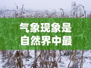 气象现象，自然界中的常见风、雨、雪、雷电等自然景观  第1张