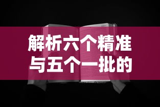 翼豹改装案例  第1张