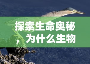 探索生命奥秘，生物进化的原因与奇迹  第1张
