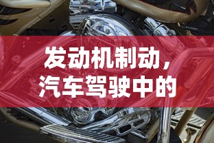 天晴速乐 噻托溴铵粉雾剂  第1张