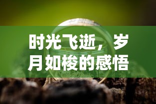 终结者2修复版  第1张