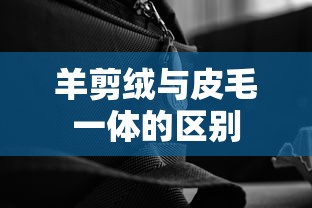 羊剪绒与皮毛一体的区别  第1张