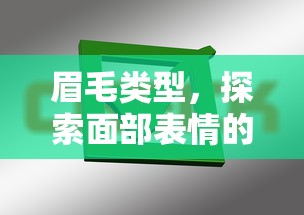 眉毛类型，探索面部表情的独特标志之魅力所在  第1张