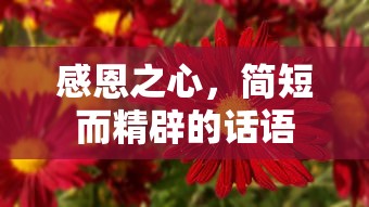 感恩之心，简短精炼的话语  第1张