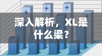 深入解析，XL的梁类型解析  第1张