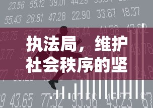 执法局，维护社会秩序的坚实力量  第1张