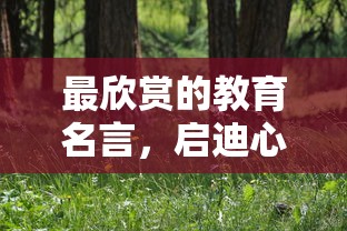 圣金甲虫斯卡纳绝版了  第1张