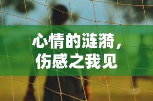 心情涟漪，伤感之我见  第1张