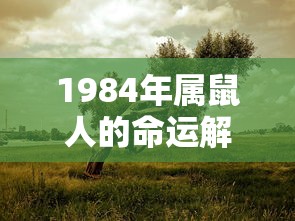 1984年属鼠人命运解析  第1张