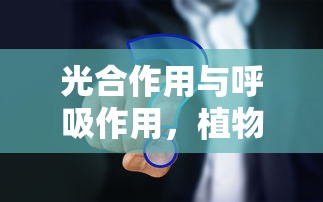 长安之星2代图片及价格  第1张