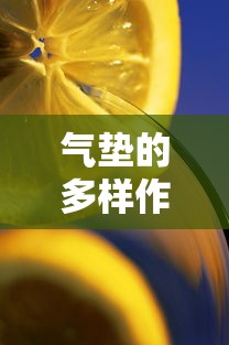 气垫的多样作用与应用  第1张