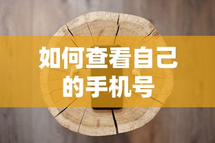 如何查看自己的手机号？  第1张