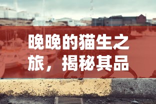 比亚迪宋plus dmi2022款  第1张