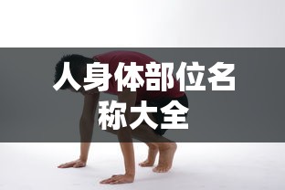 人体各部位名称大全  第1张