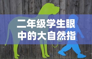 二年级学生眼中的大自然指南针，探索自然的奇妙之旅  第1张