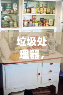 垃圾处理器，厨房必需品还是过度消费的产物？  第1张