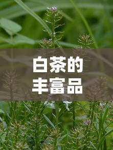 深海迷航高级工作台碎片  第1张