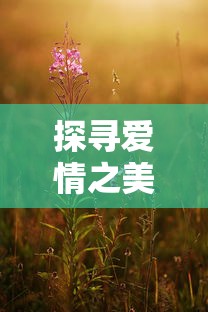 探寻心动之爱，那些让人陶醉的动漫爱情故事  第1张