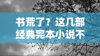 不容错过的经典完本小说推荐！  第1张