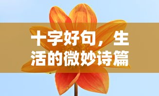 socialclub登录官网中文  第1张