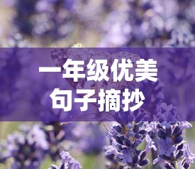 一年级优美句子摘录精选  第1张