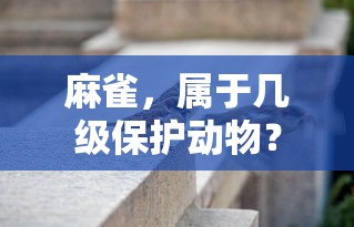 麻雀，属于几级保护动物？  第1张