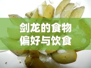 剑龙的食物偏好与饮食习惯  第1张