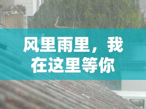 风雨共度，我在此等你  第1张