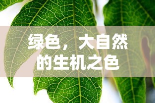 绿色，大自然的生机之色  第1张