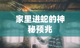 青峰大辉小说  第1张