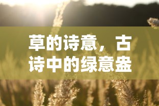 古诗中的绿意盎然，草的诗意  第1张