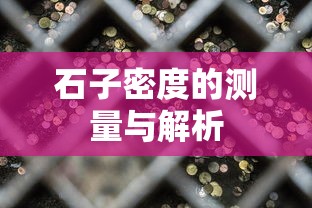 石子密度的测量与解析  第1张