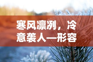 寒风刺骨，冷意侵袭——描绘寒冷的句子  第1张