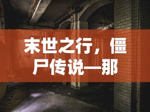 值得一读的末世僵尸类小说，末世之行，僵尸传说  第1张