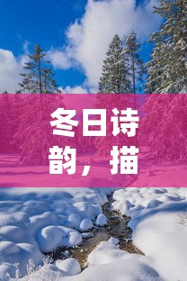 冬日诗韵，描绘冬景诗句之美  第1张