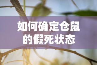 凌志es350价格及图片  第1张