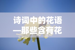 诗词中的花语，名篇中的花语诗情  第1张
