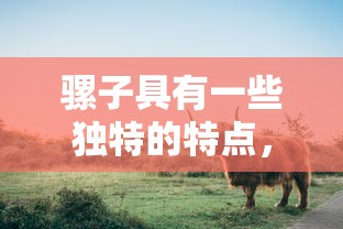 骡子，农业、运输与工作中的独特价值之所在  第1张