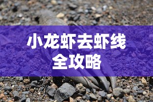 小龙虾去虾线全攻略  第1张