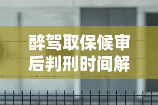 醉驾取保候审后判刑时间解析  第1张