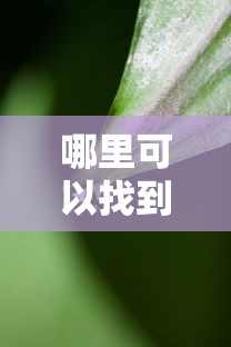 优质小龙虾种苗销售哪里寻  第1张