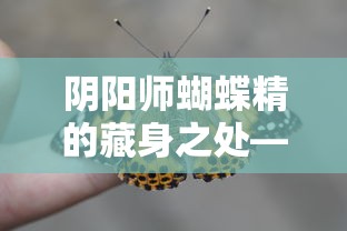 阴阳师蝴蝶精的神秘藏身之处，探索与发现  第1张
