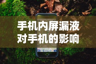 手机内屏漏液，影响与应对策略  第1张