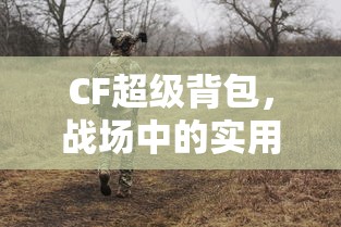 CF超级背包，战场中的实用利器  第1张