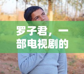 罗子君，电视剧璀璨明珠  第1张