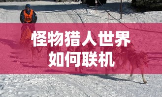 本田crz报价及图片  第1张
