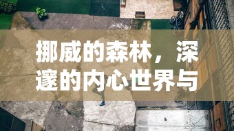 qq飞车白灵测评  第1张