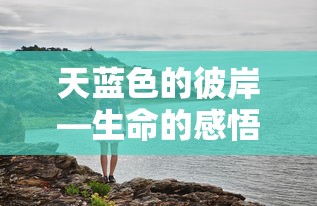 壳牌喜力价格表  第1张
