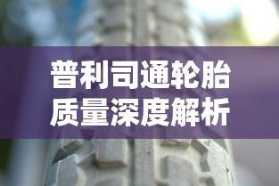 普利司通轮胎质量深度解析  第1张