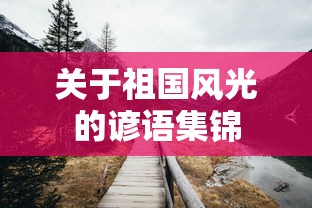 车载mic是什么意思呢  第1张